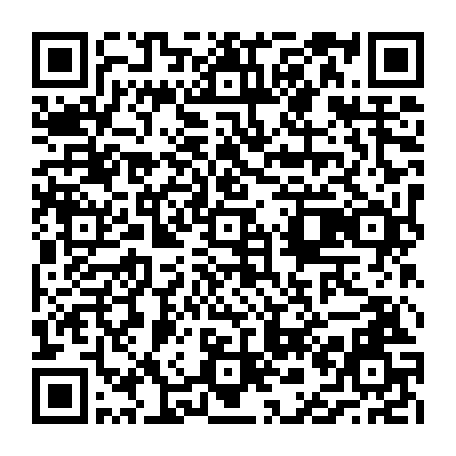 vCard 79236733341