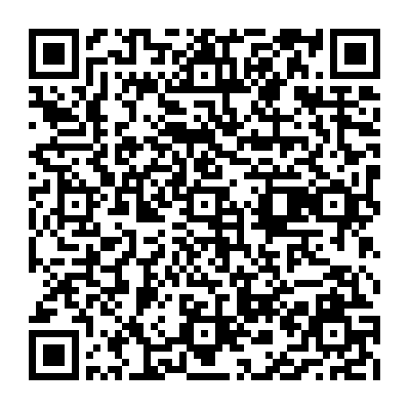 vCard 79236733371