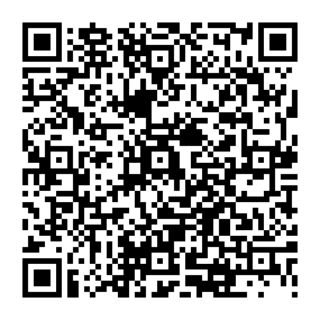 vCard 79236733379