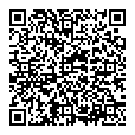 vCard 79236733381