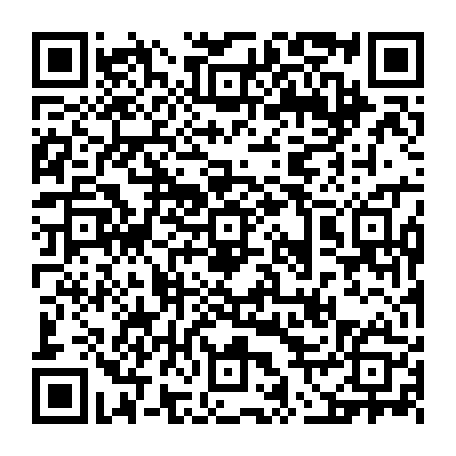 vCard 79236733383