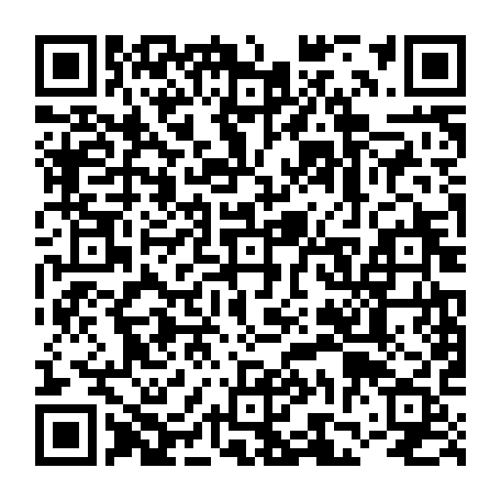 vCard 79236733387