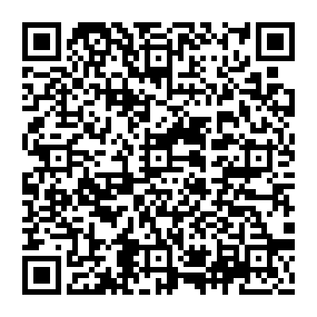 vCard 79236733394