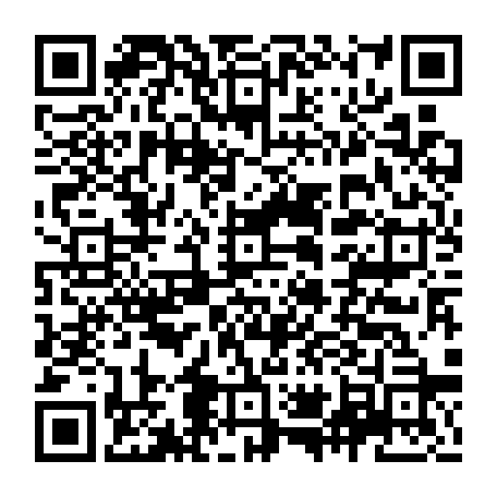 vCard 79236733476