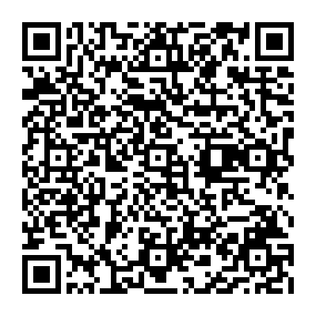 vCard 79236733501