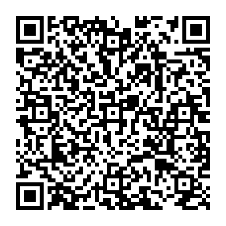 vCard 79236733537