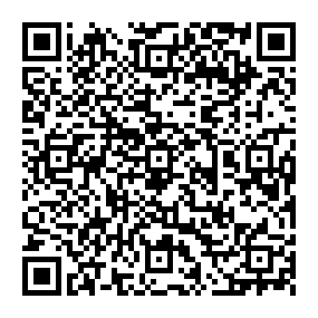 vCard 79236733539