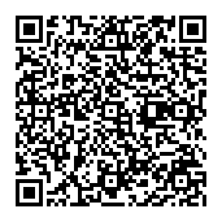 vCard 79236733581