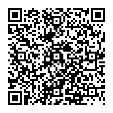 vCard 79236733629