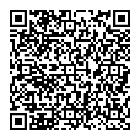 vCard 79236733631