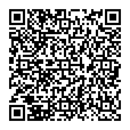 vCard 79236733633