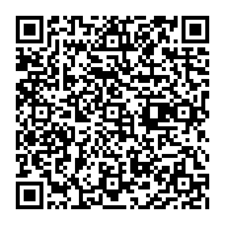 vCard 79236733677