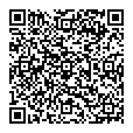 vCard 79236733685