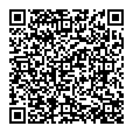 vCard 79236733713