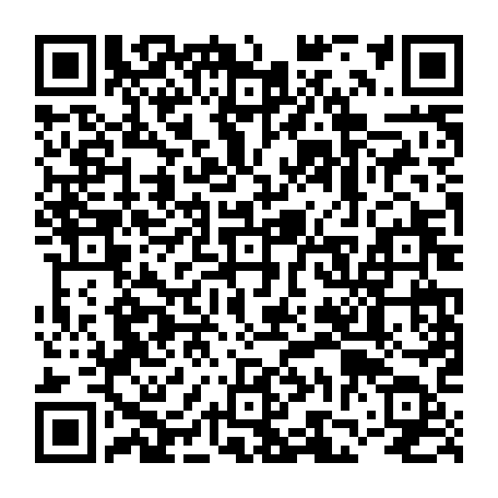 vCard 79236733714