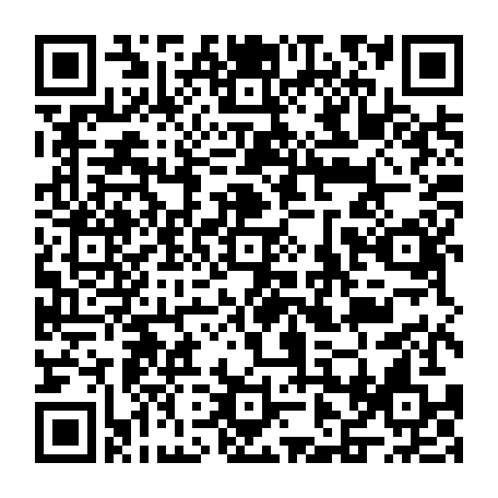 vCard 79236733715