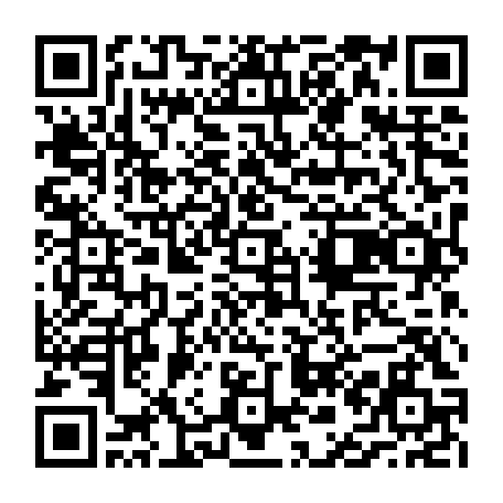 vCard 79236733729