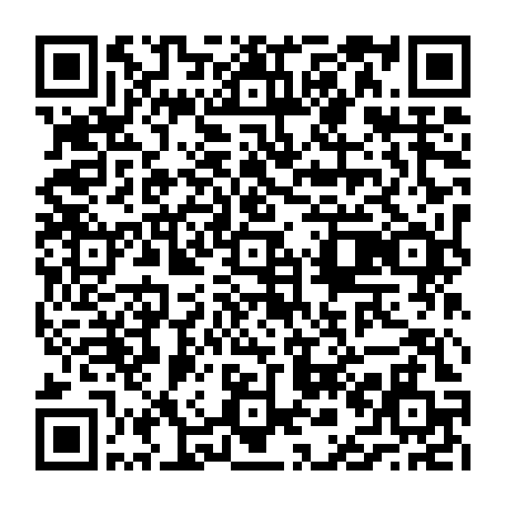 vCard 79236733772