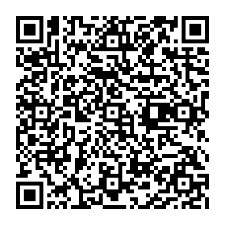 vCard 79236733901