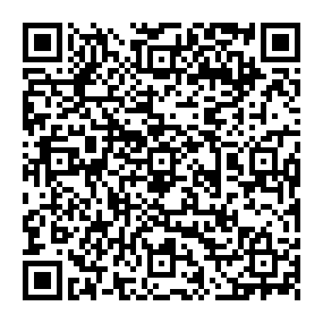 vCard 79236733917