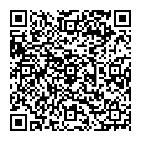 vCard 79236733971