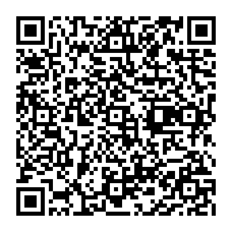 vCard 79236735078