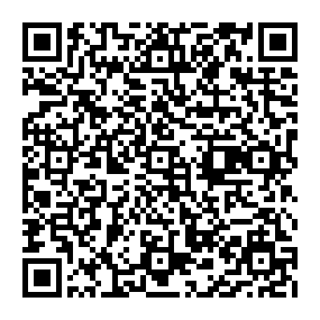 vCard 79236735389