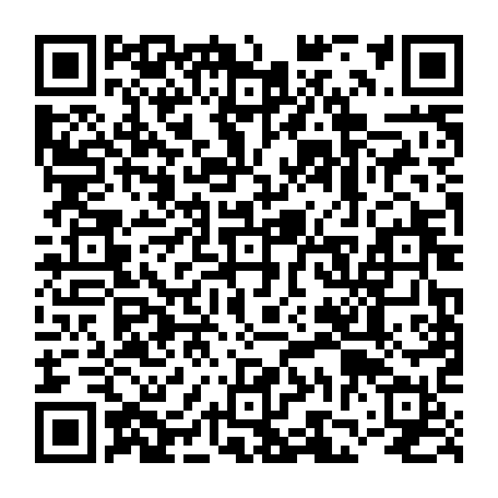 vCard 79236735403