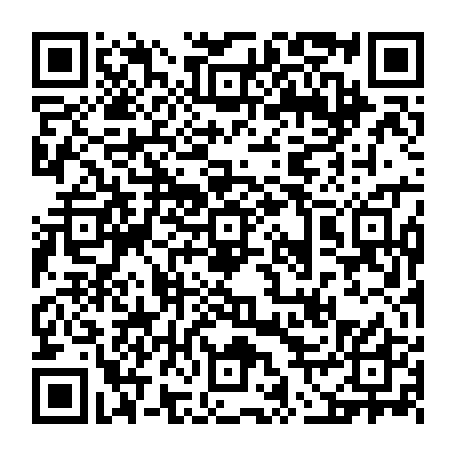 vCard 79236738036