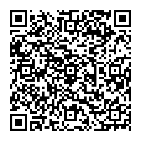 vCard 79236738347