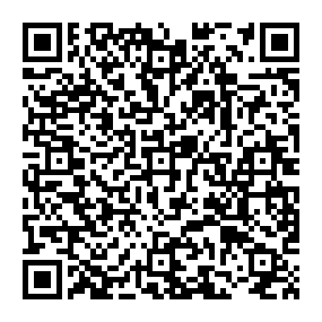 vCard 79236738478