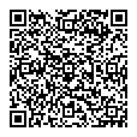vCard 79236738719