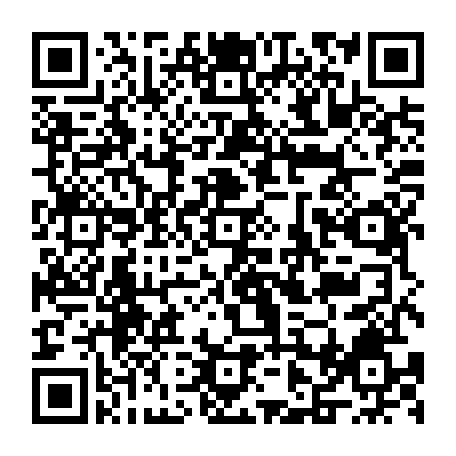 vCard 79236738817