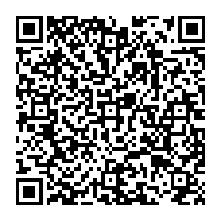 vCard 79236738819
