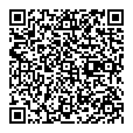 vCard 79236739315
