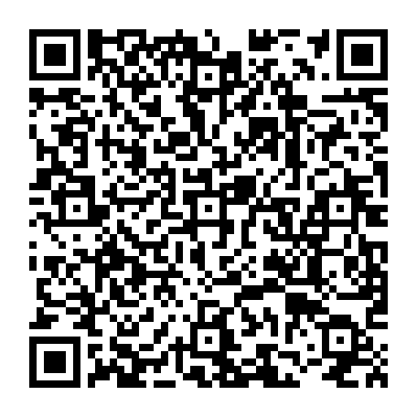 vCard 79236740325