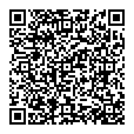vCard 79236743413