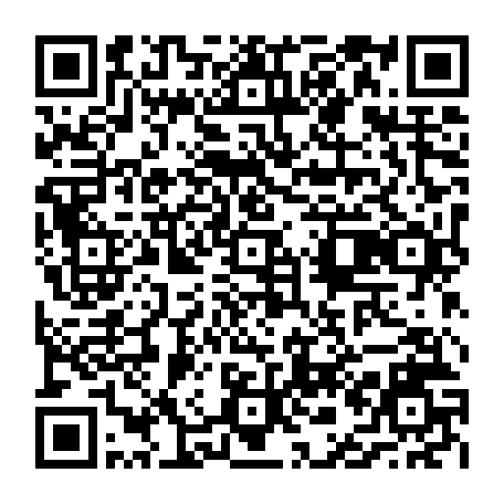 vCard 79236746377