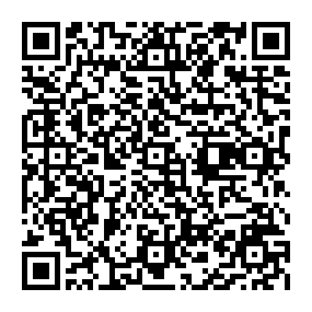 vCard 79236746381