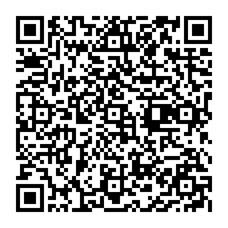 vCard 79236766377