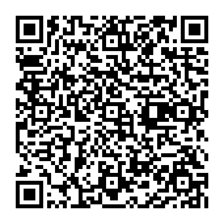 vCard 79236783529