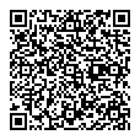 vCard 79236787378