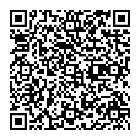 vCard 79236803713