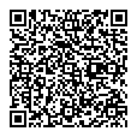 vCard 79236804038