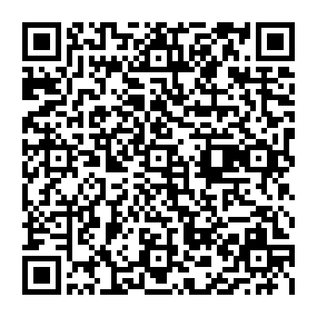 vCard 79236813387