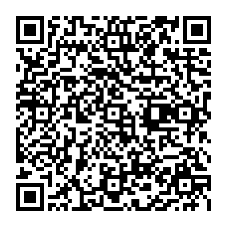 vCard 79236813478