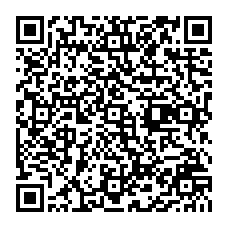 vCard 79236878387
