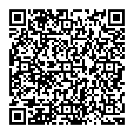 vCard 79236886417