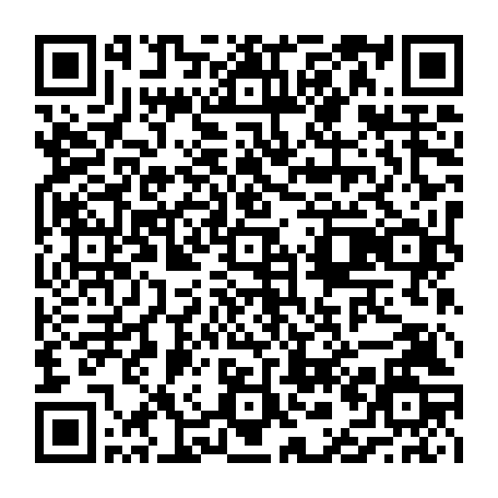 vCard 79236896335