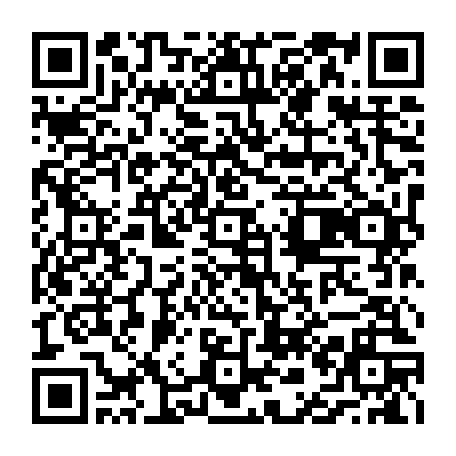 vCard 79236908388